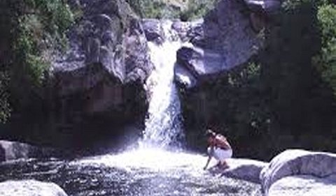 Título del artículo 1